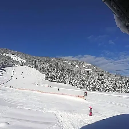 Walchauhof Hotel Flachau