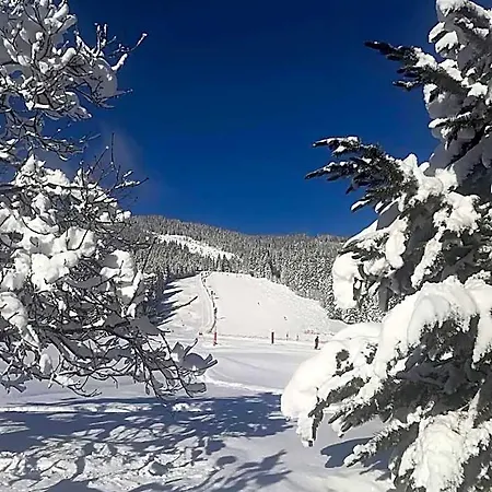 Walchauhof * Flachau