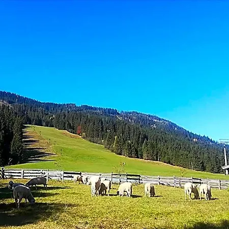 Walchauhof Flachau