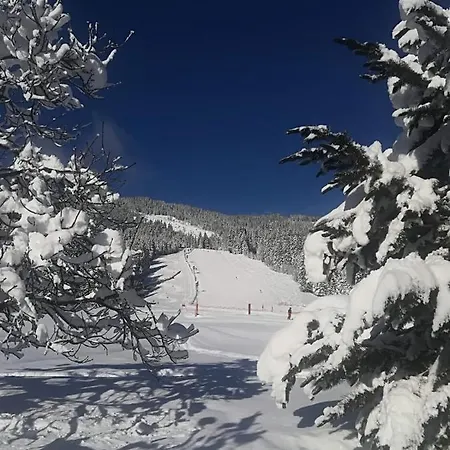 Walchauhof * Flachau