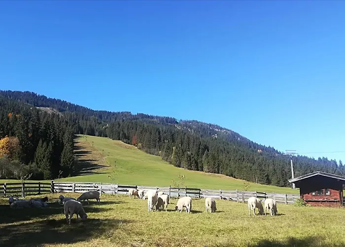 Walchauhof *